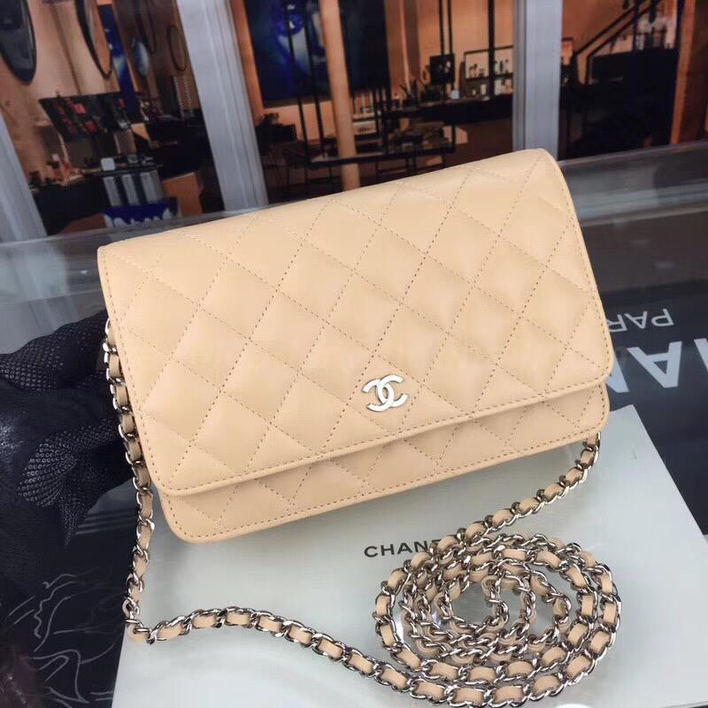 Chanel Handbags 224